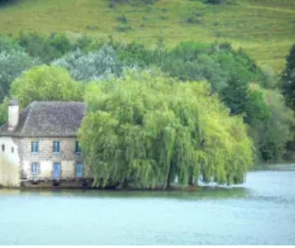En Toute Quietude Lissac-sur-Couze Екстер'єр фото