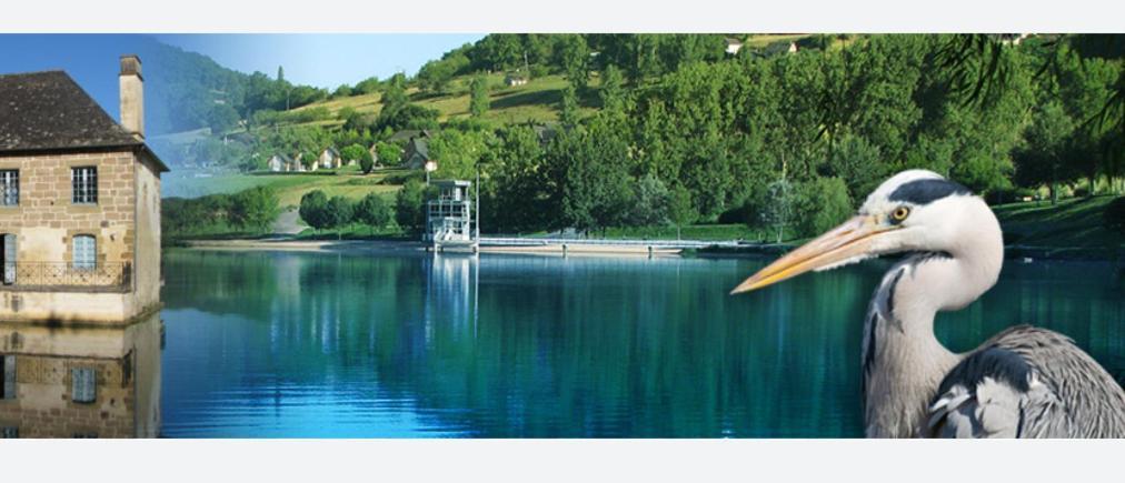 En Toute Quietude Lissac-sur-Couze Екстер'єр фото
